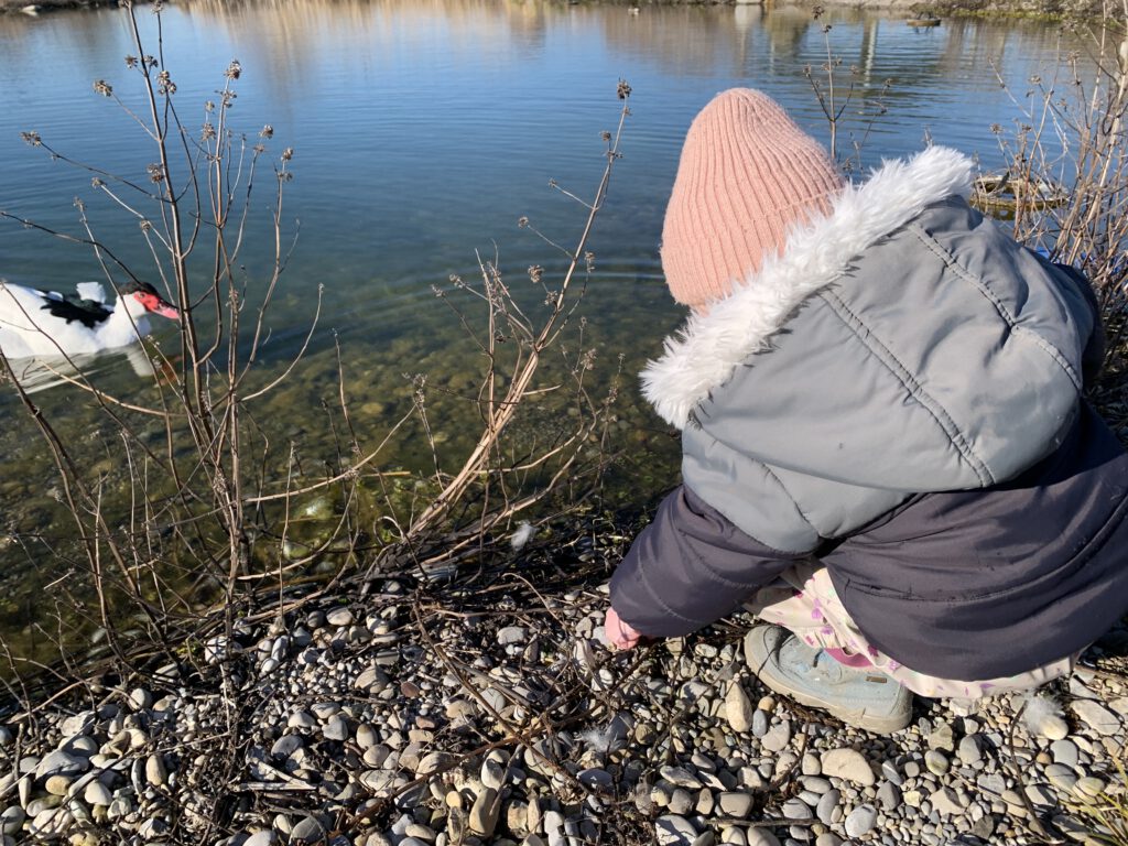 Enten Gut Morhard Ausflug mit Kindern Augsburger Umland Ausflug Augsburg mit Kindern: Kind bückt sich am Ufer eines Sees, um Steine zu sammeln, mit Blick auf den See im Hintergrund auf Gut Morhard. Naturerlebnis für Kinder in Augsburg.