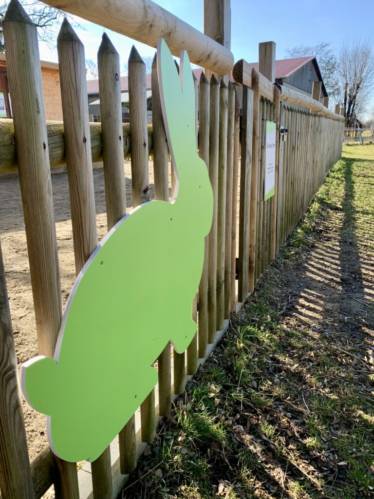 Gut Morhard Ausflugsziel Augsburg Bild von einem Hasen am Zaun der "kleinen Farm", Streichelzoo auf Gut Morhard, idealer FAmilienausflug im Augsburger Umland