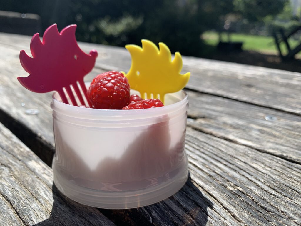 Nachhaltige Snackpiekser von Pieksi & Griffel in pink und gelb, mit Himbeeren – gesunde Snackidee für unterwegs und die Kita-Brotzeit.