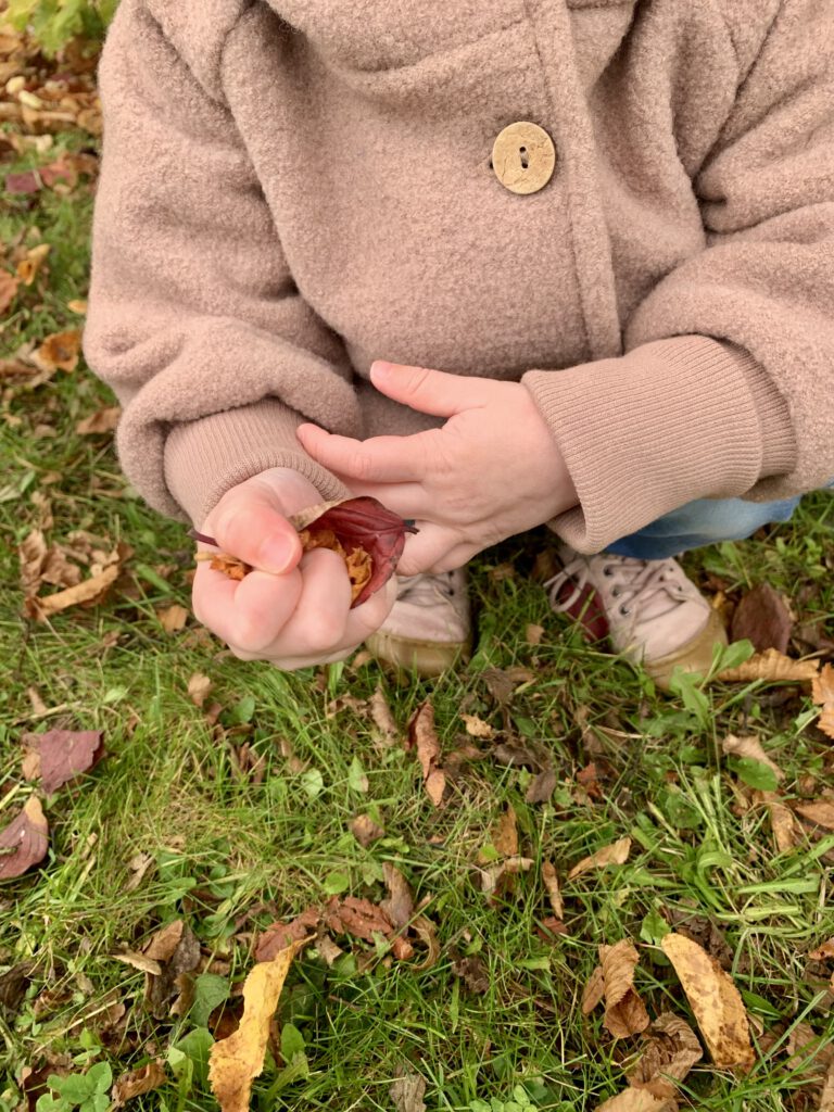 Kleinkind spielt mit Blättern im Herbst. Kind trägt die Wollwalk Jacke von petit cochon. Nachhaltige Kindermode, hergestellt in Deutschland